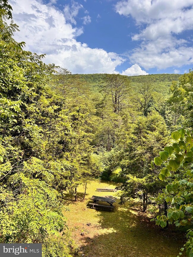 174 Mount Laurel Cir, Lost City, WV 26810 - photo 7