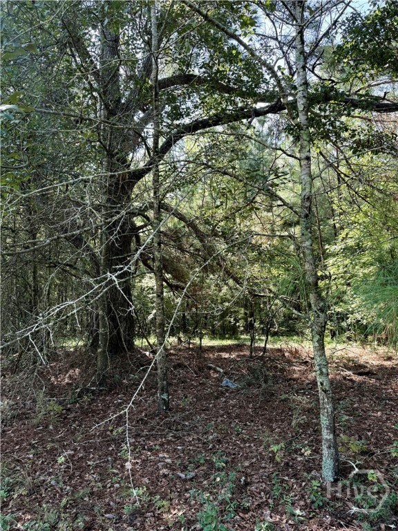 0 Best Bridge Rd unit SA336787, Sylvania, GA 30467 - photo 6