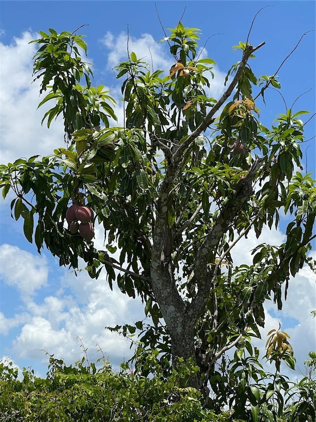 14100 Stringfellow Rd, Bokeelia, FL 33922 - photo 5