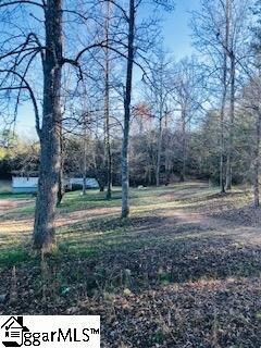 199 Lightning Ln, Travelers Rest, SC 29690 - photo 5