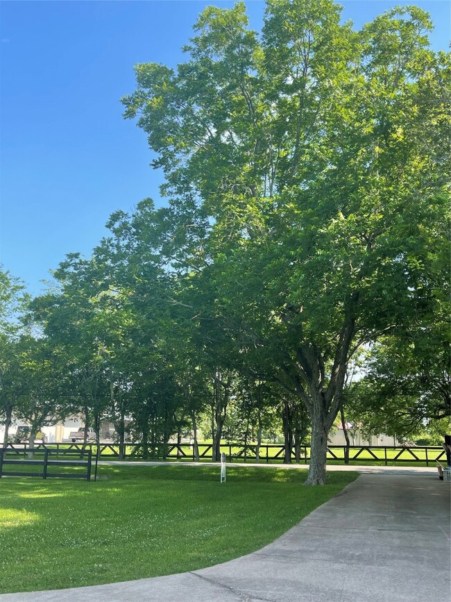 1917 Lundy Ln, Friendswood, TX 77546 - photo 3