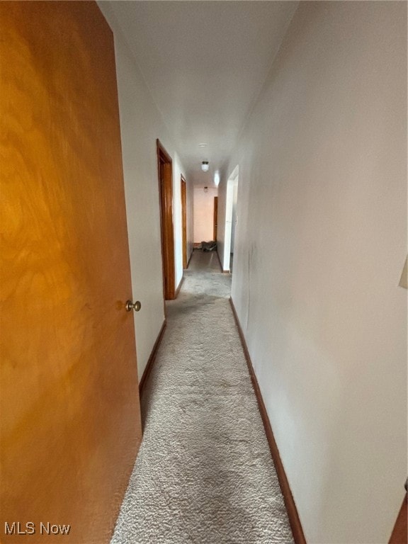 29436 Euclid Ave unit UP, Wickliffe, OH 44092 - photo 7