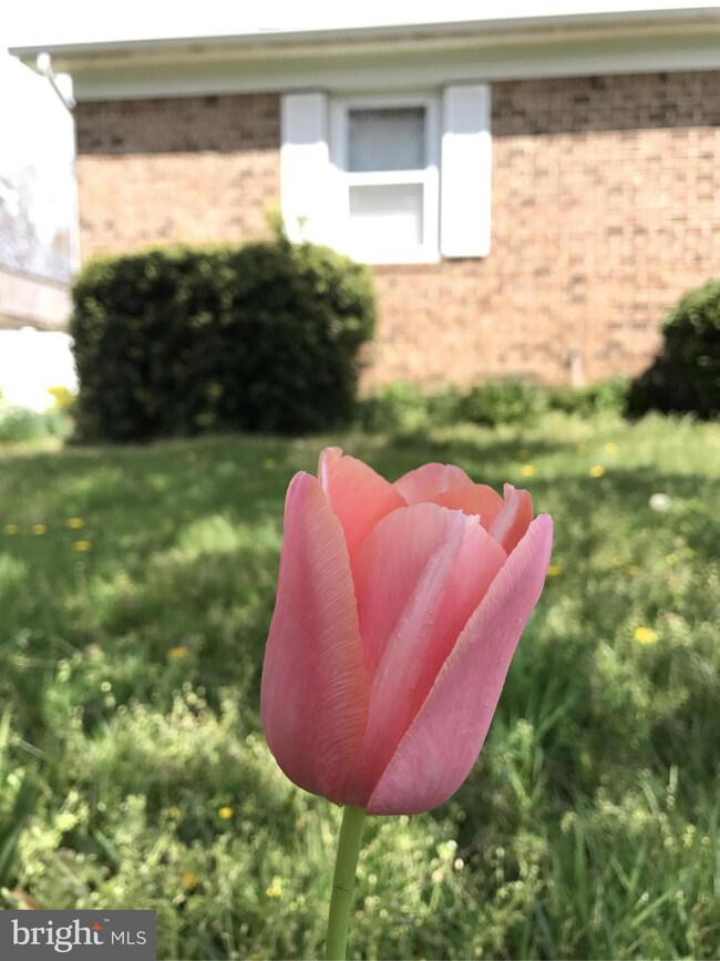 45772 Sayre Dr, Great Mills, MD 20634 - photo 2