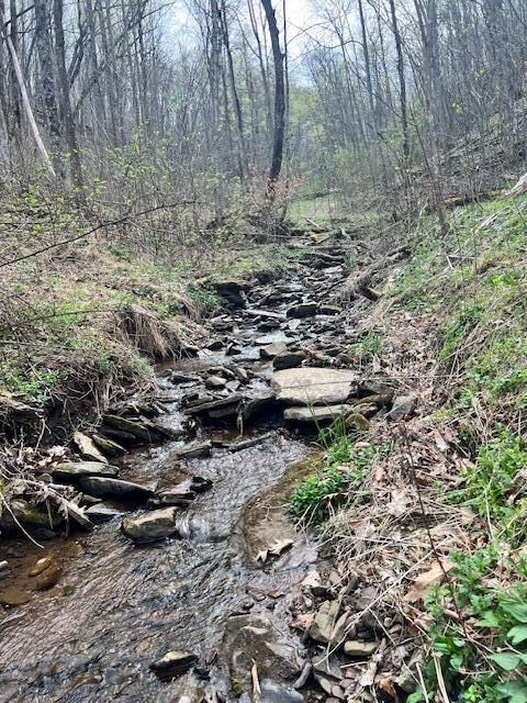 362 Band of Hope Rd unit Tract 1, Renick, WV 24966 - photo 7