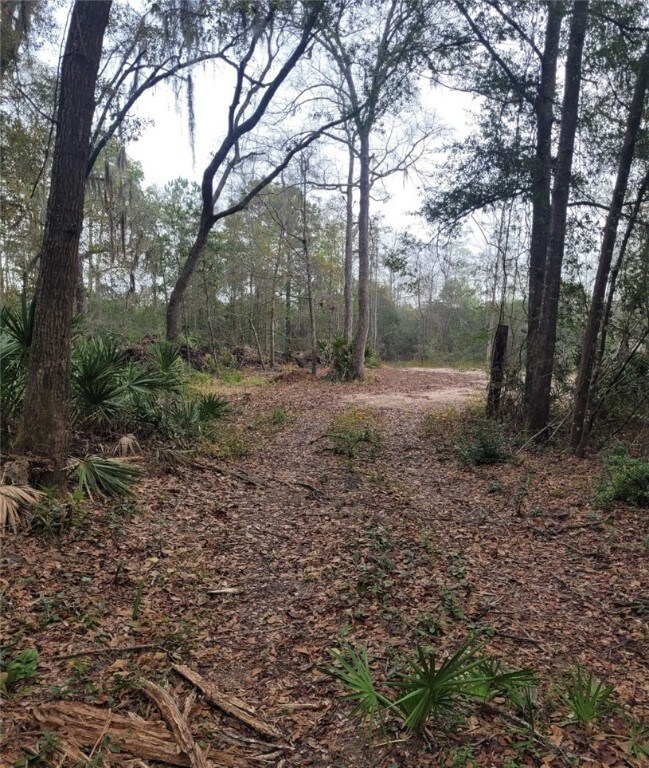 Opening up to the cleared portion