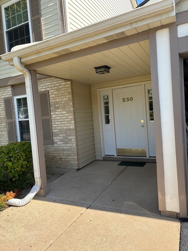 230 Wethington Dr unit C, Wauconda, IL 60084 - photo 3