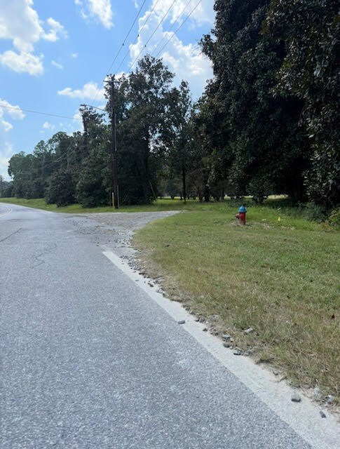 110 Magnolia Dr, McIntyre, GA 31054 - photo 4