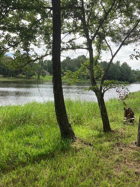 2534 Blue Lake Dr, Magnolia, TX 77354 - photo 4