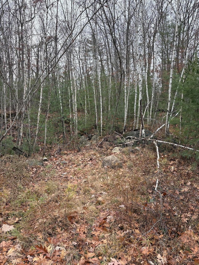 M11 Lot 02 Joseph Way, Waterboro, ME 04030 - photo 4