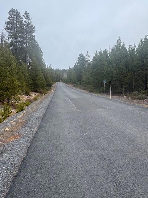 58 Royce Mount Way, Crescent Lake Junction, OR 97733 - photo 3