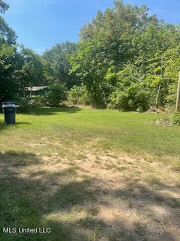 lot 5