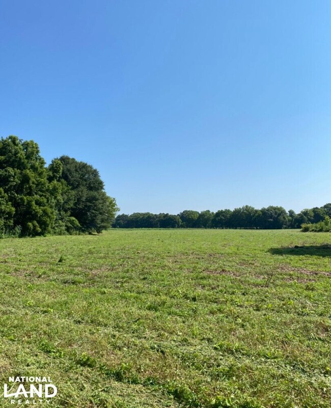 Highway 145, Columbiana, AL 35051 - photo 6