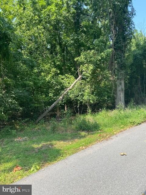 0 River Haven Dr unit WVJF2000366, Harpers Ferry, WV 25425 - photo 3