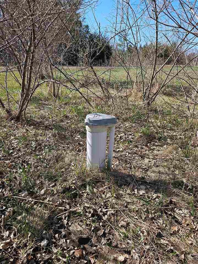 1715 Ellinger Rd, Alanson, MI 49706 - photo 5