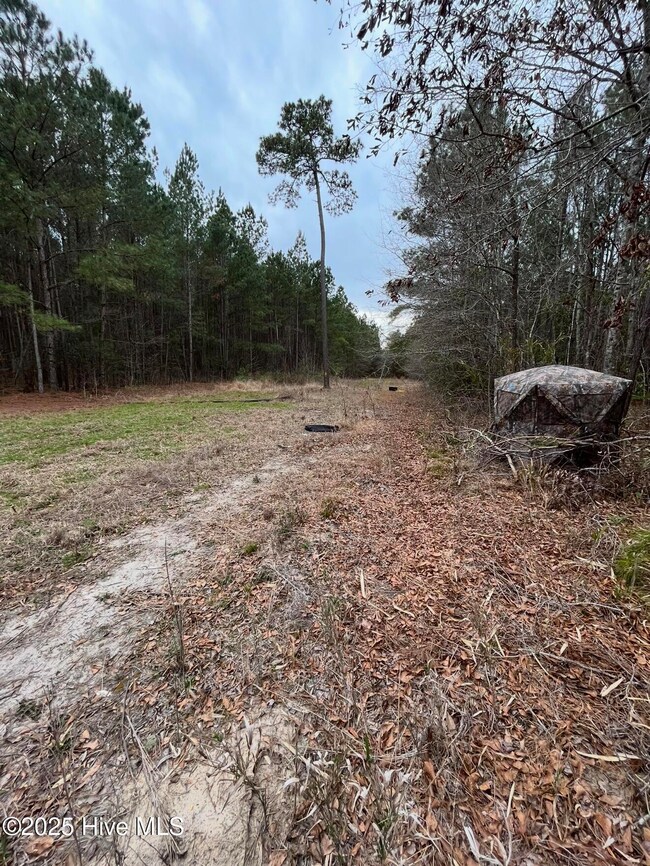 0 Shiloh Rd unit 100518868, Willard, NC 28478 - photo 5