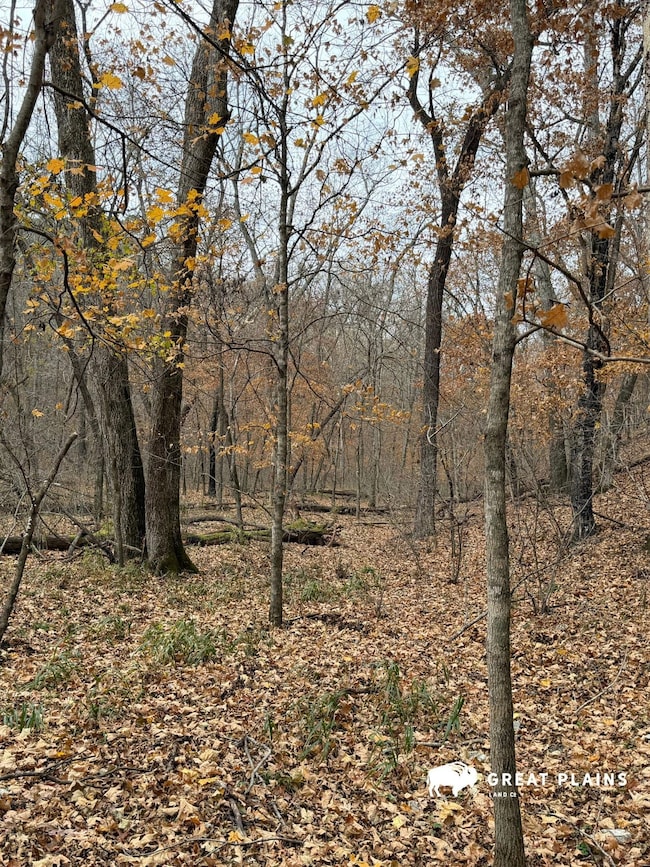 13154 Horse Shoe Cir, Chewey, OK 74347 - photo 6