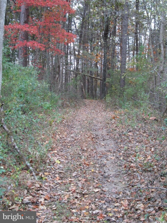 0 Scotts Mill Rd unit 1003248702, Culpeper, VA 22701 - photo 7