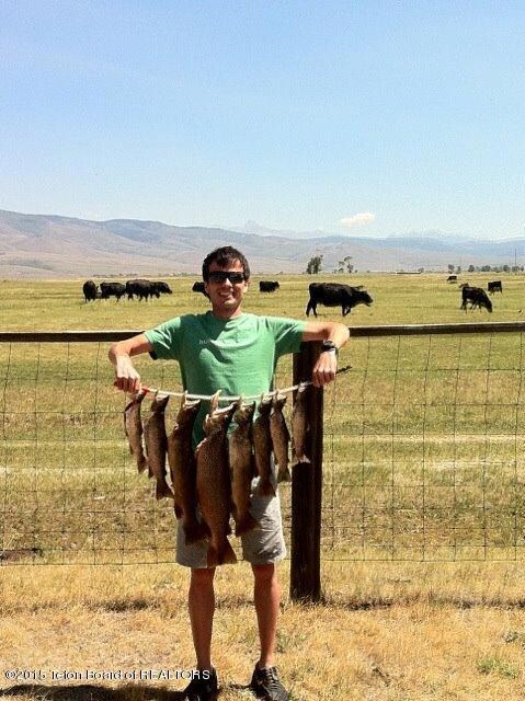 East Fork trout