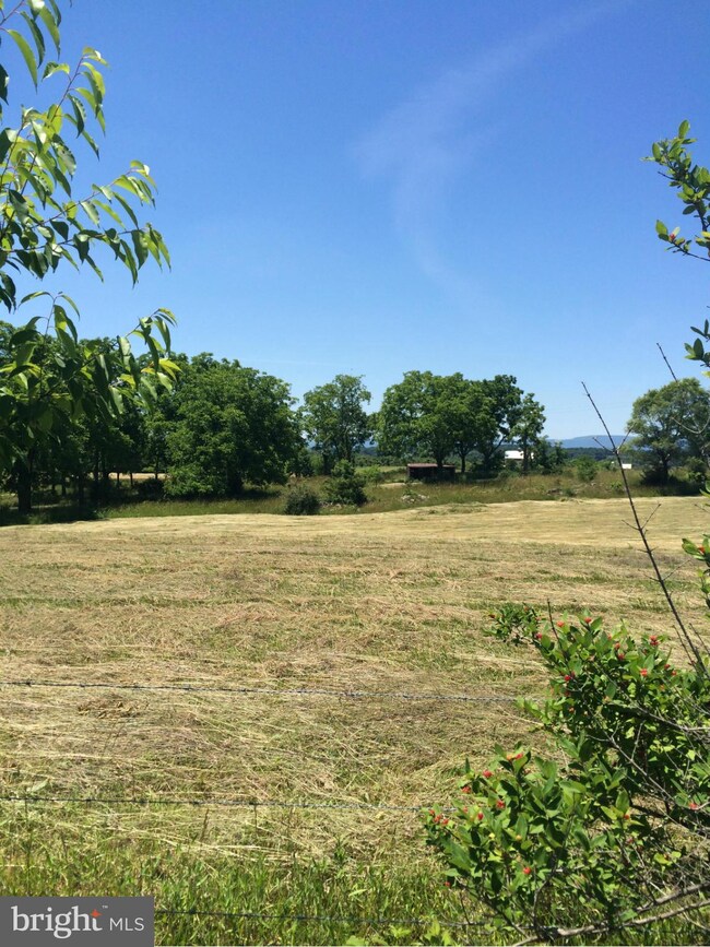 0 Buffalo Marsh Rd unit 1001322905, Middletown, VA 22645 - photo 4