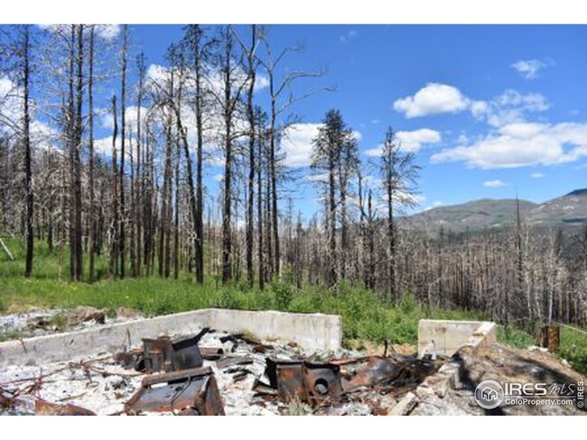 970 Deer Horn Trail, Bellvue, CO 80512 - photo 2