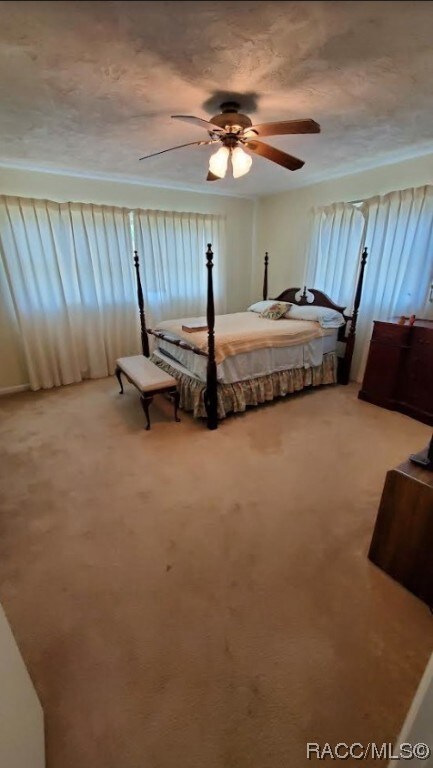 Bedroom view 1 Partially Furnished, Overhead Light and Fan, Closets