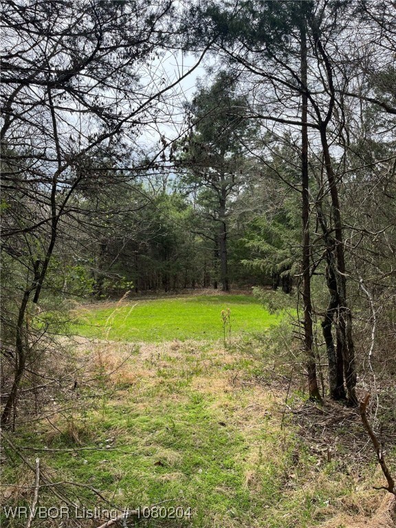 Tract 3 Station Rd, Bokoshe, OK 74930 - photo 7