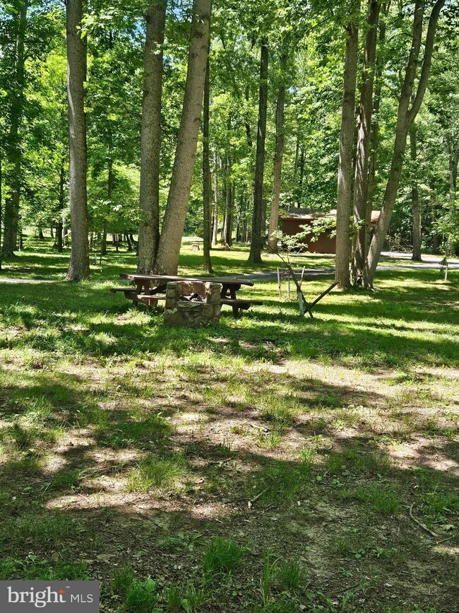 1631 Sideling Mountain Trail, Great Cacapon, WV 25422 - photo 5