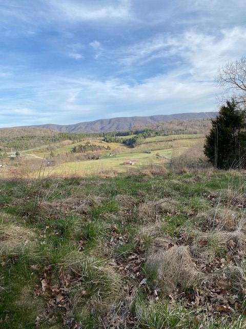 7647 S Scenic Hwy, Bland, VA 24315 - photo 5