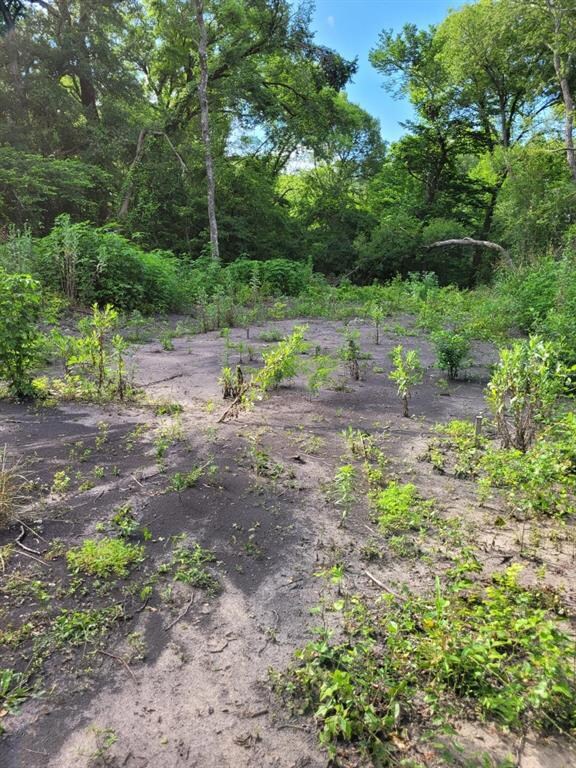 235 Clay Ct, Springtown, TX 76082 - photo 6