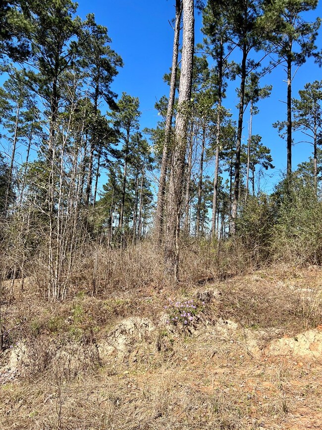 TBD Borrego Spring Rd, Nacogdoches, TX 75964 - photo 4