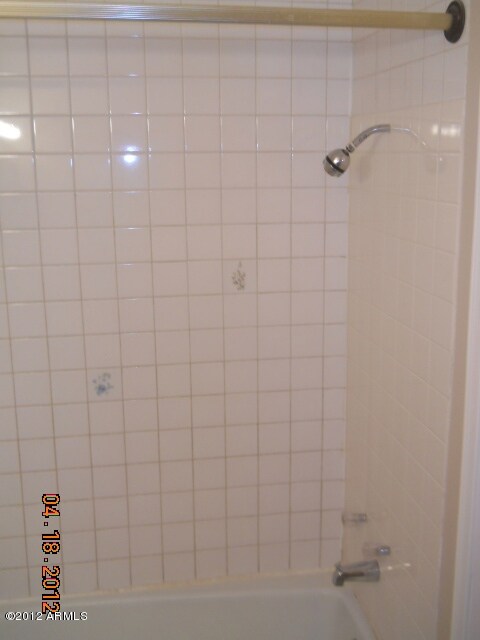 bath1 tub-shower