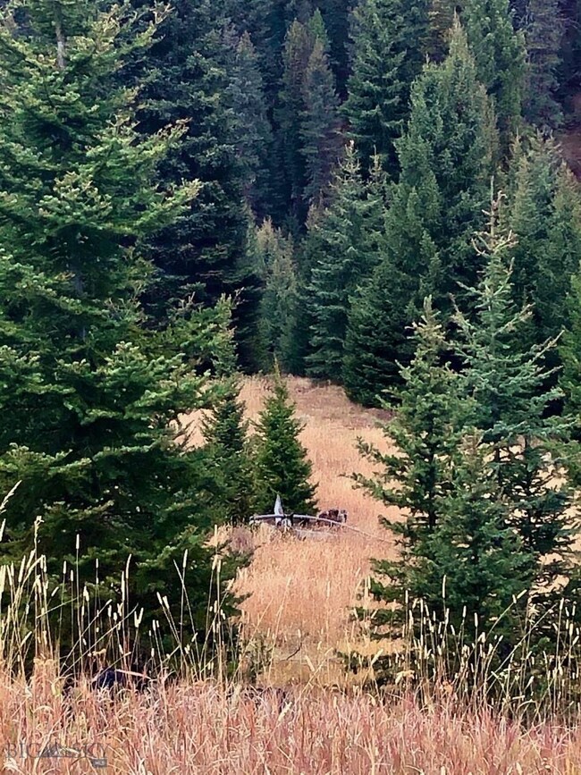 TBD Beaver Creek Rd, Big Sky, MT 59730 - photo 4
