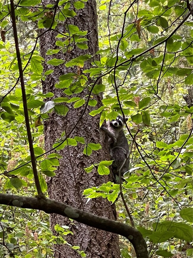 unlisted-address, Yelm, WA 98597 - photo 4