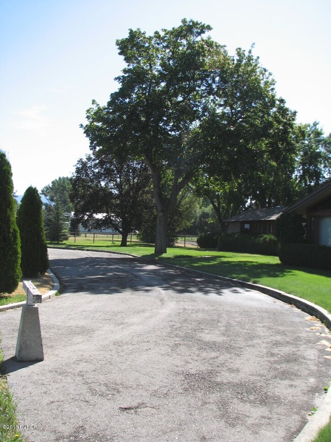 drive way