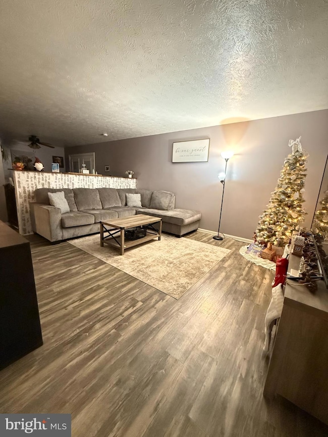 291 Borum St, Strasburg, VA 22657 - photo 7