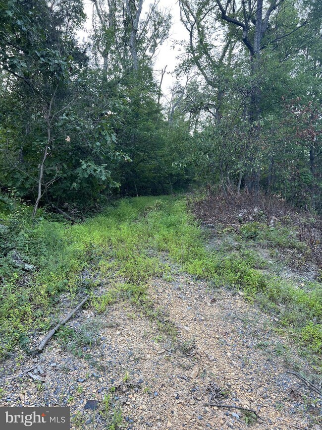 1137 Tomahawk Trail, Winchester, VA 22602 - photo 4