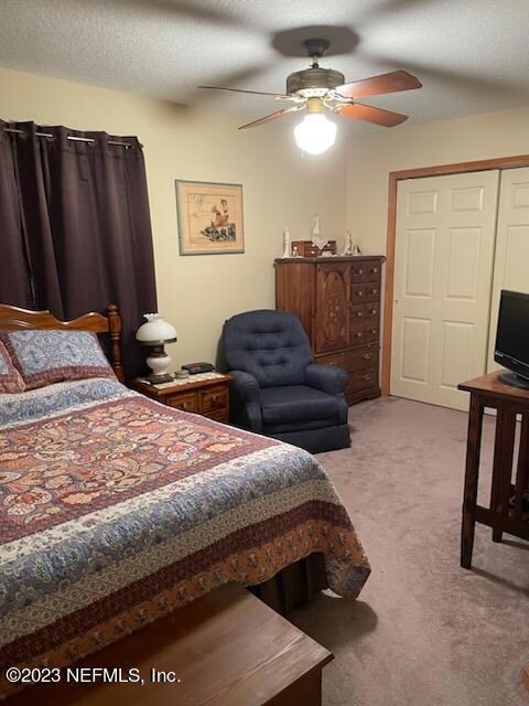 4350 hall boree down bed 2