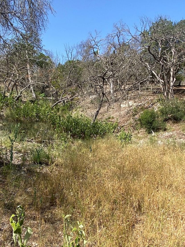 Lots 1-8 Stoneledge Dr unit 1-8, Kerrville, TX 78028 - photo 7
