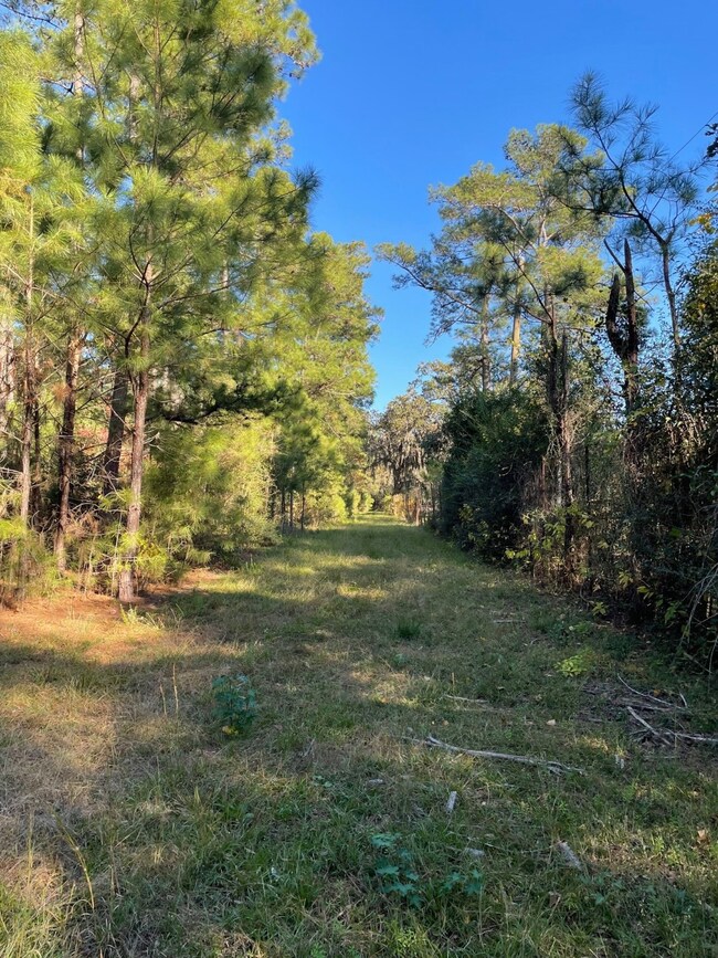 0000 Longbow St, Hockley, TX 77447 - photo 4