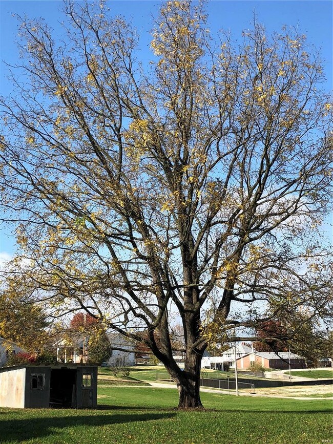 202 E Jefferson Ave, Batchtown, IL 62006 - photo 6