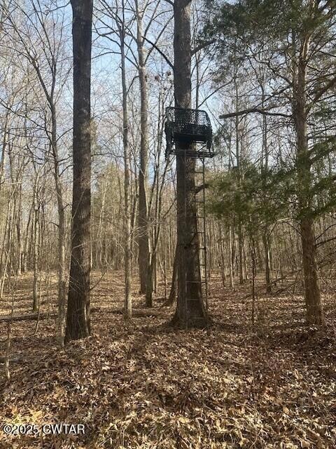 4489 Spring Creek Rd, Lavinia, TN 38348 - photo 4