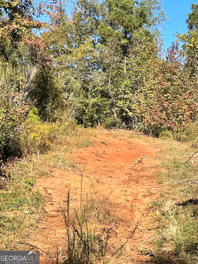 0 Highway 36 E unit 10652520, Jackson, GA 30233 - photo 4