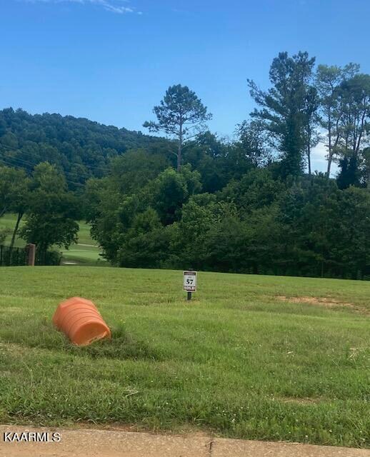 1147 Bobcat Run Dr unit 5, Loudon, TN 37774 - photo 3