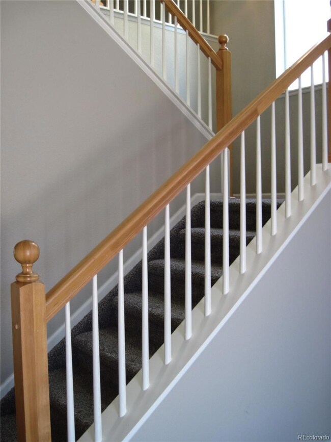 8013 Parsonage Ln, Colorado Springs, CO 80951 - photo 5