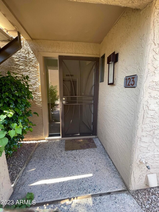 CUSTOME SECURITY DOOR