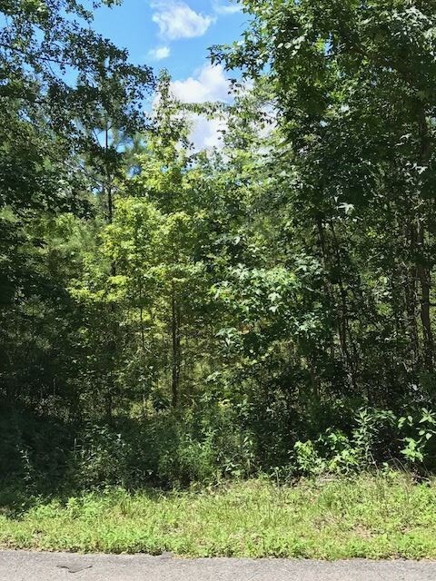 0 Mill Creek Rd, Crawfordville, FL 32327 - photo 2