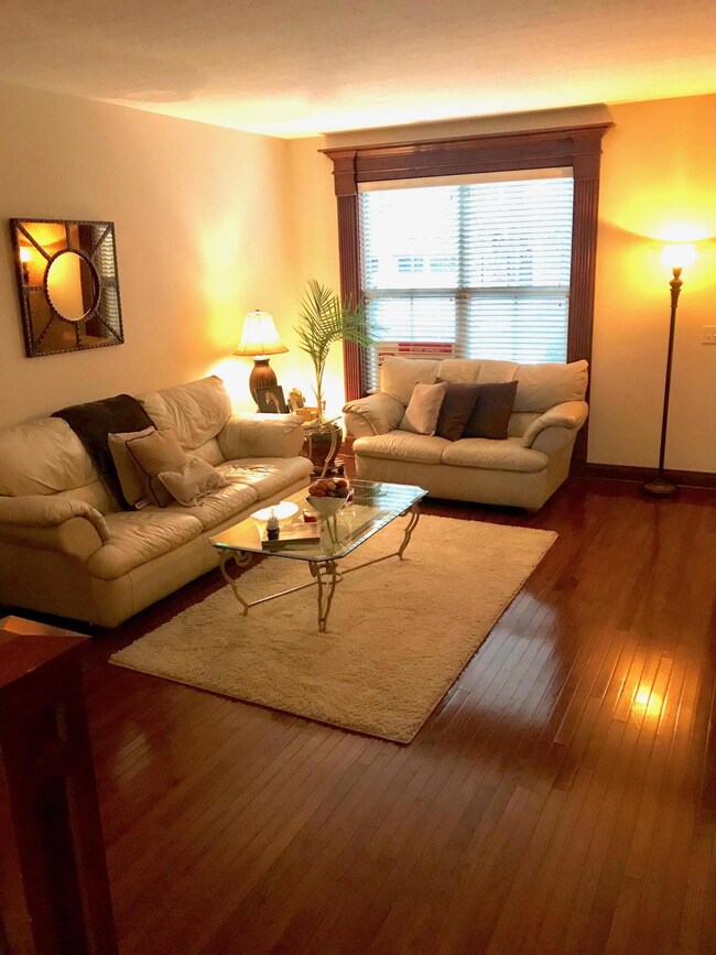 Living Room 1