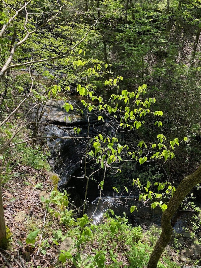 000 Spring Rd, Searcy, AR 72143 - photo 4