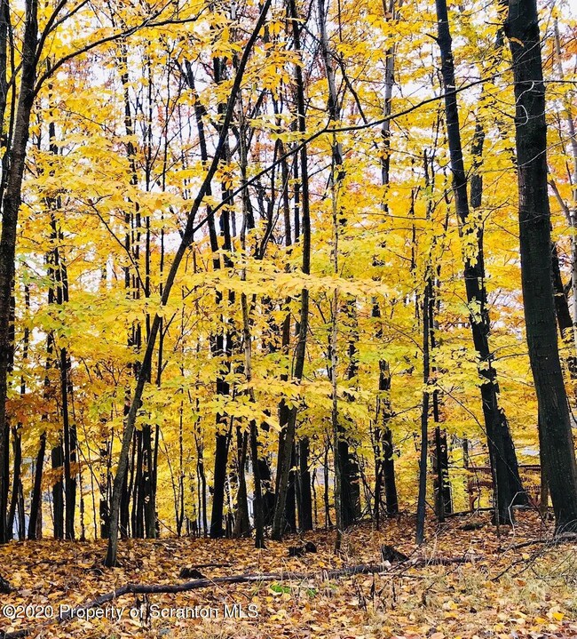 1040 Cedar Dr, Lake Ariel, PA 18436 - photo 6