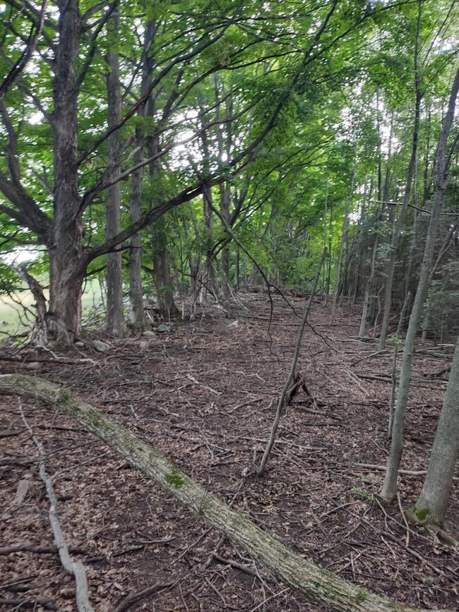 image000000 (4)